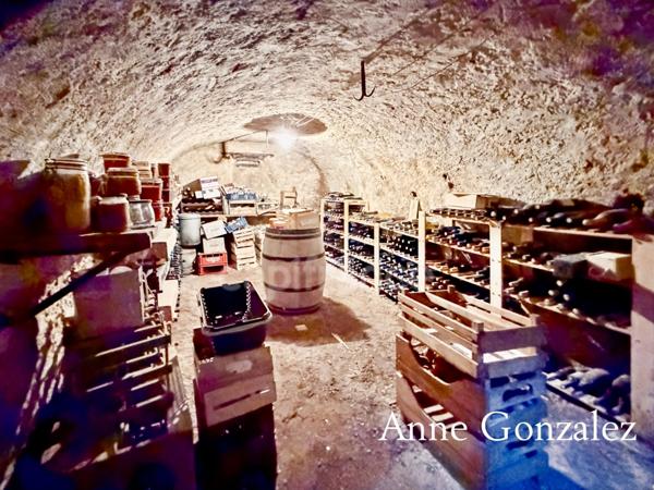 Superbe Maison Bourgeoise rénovée à vendre à CHATEAUNEUF SUR LOIRE centre ville immédiat, parc arboré de 1600m2 à la vue dégagée, dépendance de 90m2 et grand garage