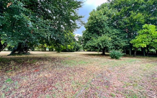 Maison à vendre    3 pièces •  Lailly-en-Val