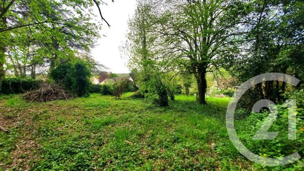 Terrain à vendre  3313 m 2   LA FERTE ALAIS  - 91