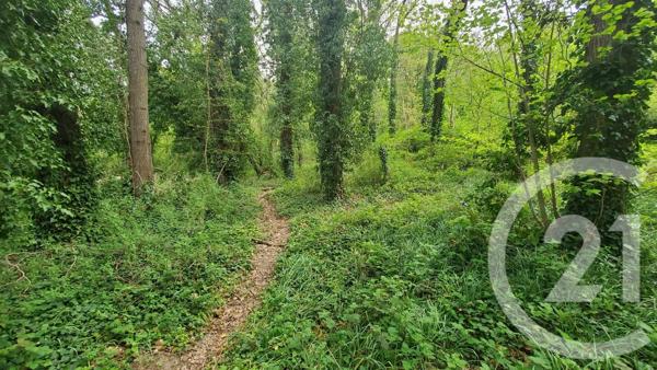 Terrain à vendre  3313 m 2   LA FERTE ALAIS  - 91