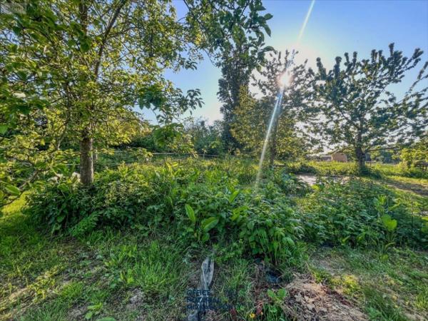 Maison à vendre à Saint-Sauveur-Villages dans la Manche (50490), ref : 2025-8