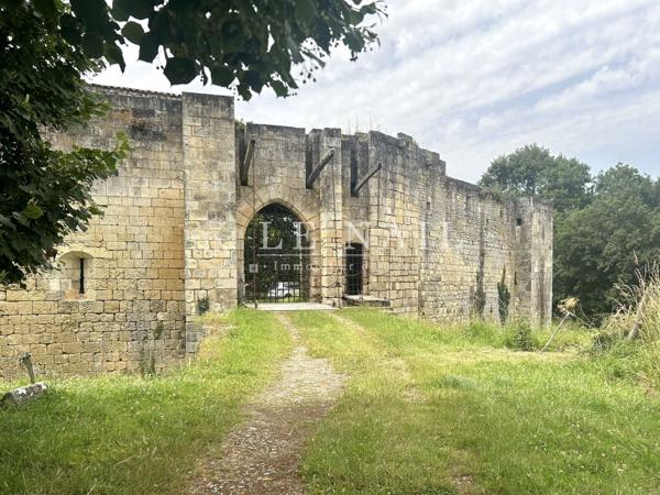 Château médiéval du XIVe siècle, en Charente Maritime, ISMH