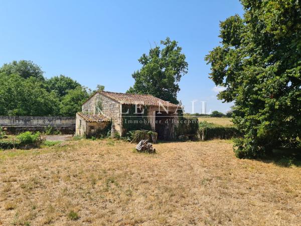 Château médiéval du XIVe siècle, en Charente Maritime, ISMH
