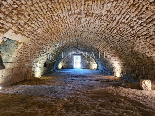 Château médiéval du XIVe siècle, en Charente Maritime, ISMH