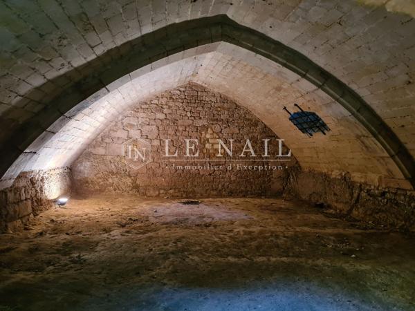 Château médiéval du XIVe siècle, en Charente Maritime, ISMH