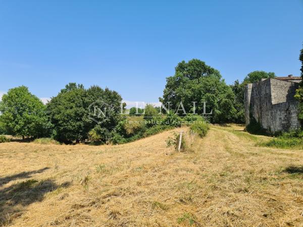 Château médiéval du XIVe siècle, en Charente Maritime, ISMH