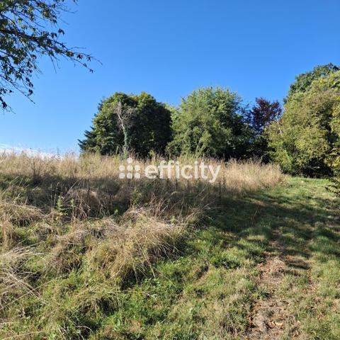 Terrain
        
        - 796 m² Exclusivité 39 200 € *