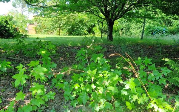 Maison à vendre    5 pièces •  Idron