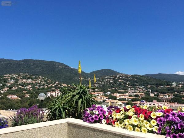 Achat - Appartement Cavalaire-sur-Mer 83240 4 pièces 82 m 2