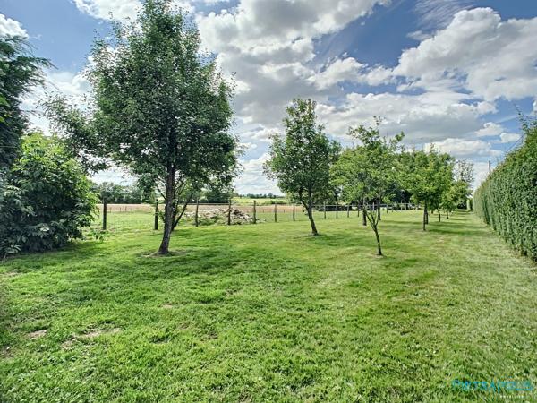 Ferme de 187m² avec 5 chambres, piscine, nombreuses dépendances (141m²) - Parc de 9040m²
