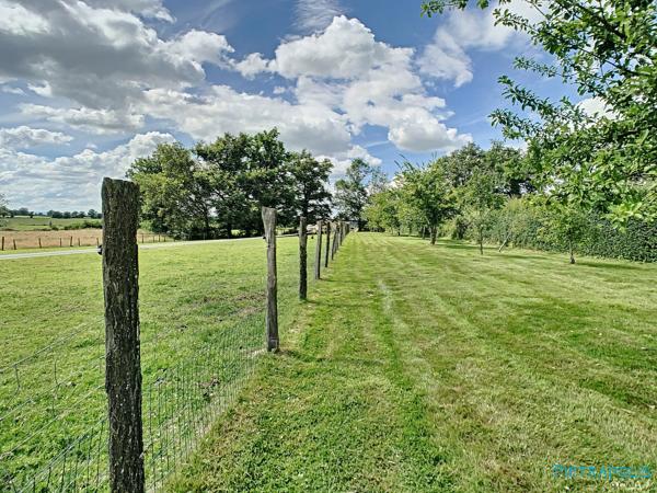 Ferme de 187m² avec 5 chambres, piscine, nombreuses dépendances (141m²) - Parc de 9040m²