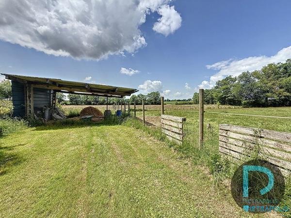 Ferme de 187m² avec 5 chambres, piscine, nombreuses dépendances (141m²) - Parc de 9040m²
