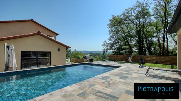 Villa contemporaine avec pisicne
