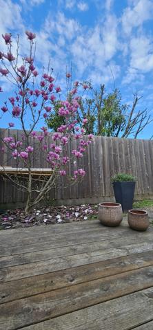 Maison 4 pièces - 77 m²