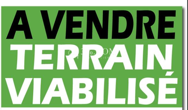 TERRAIN A BATIR VIABILISE 857m² SAINT-JULIEN-DE-CONCELLES Saint-Julien-de-Concelles (44450)