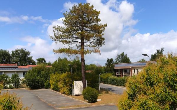 Appartement à vendre    2 pièces • 38 m2 Lanton