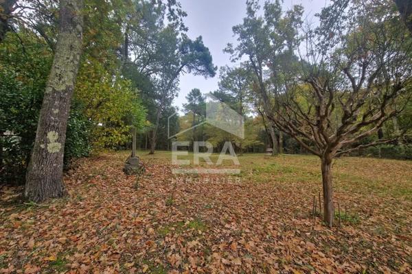 TERRAIN VIABILISE LIBRE DE CONSTRUCTEUR SAINT PALAIS SUR MER de 450 m²