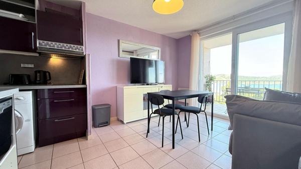 BANYULS SUR MER, APPARTEMENT T2 AVEC PLACE DE PARKING  ET TERASSE VUE LA MER