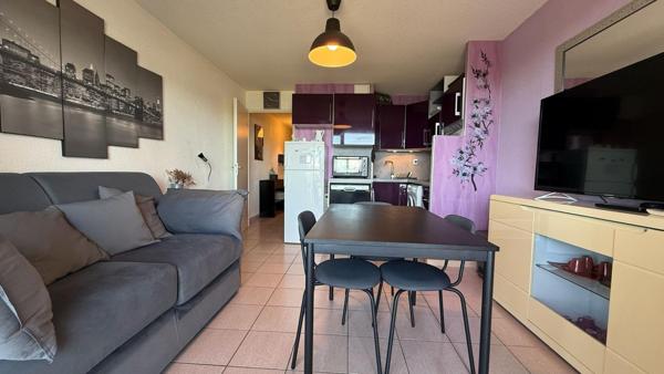 BANYULS SUR MER, APPARTEMENT T2 AVEC PLACE DE PARKING  ET TERASSE VUE LA MER