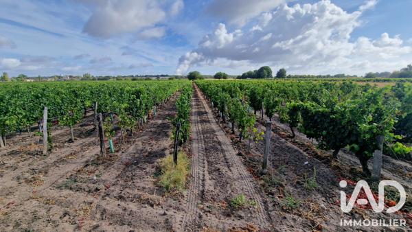 Terrain à vendre 65 000 m² Avoine