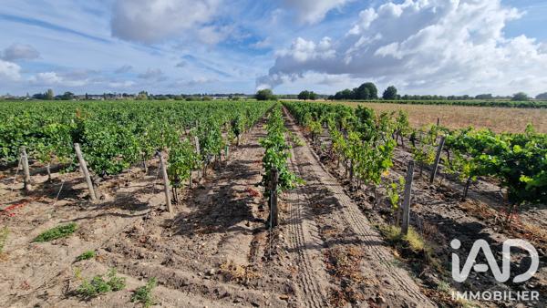 Terrain à vendre 65 000 m² Avoine
