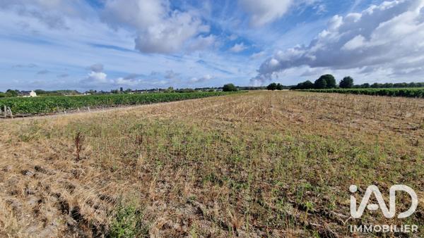 Terrain à vendre 65 000 m² Avoine