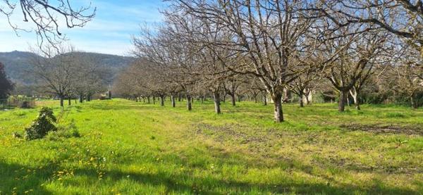 Terrain à vendre |  Saint-Sozy |  1650 m²