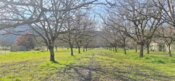Terrain à vendre |  Saint-Sozy |  1650 m²