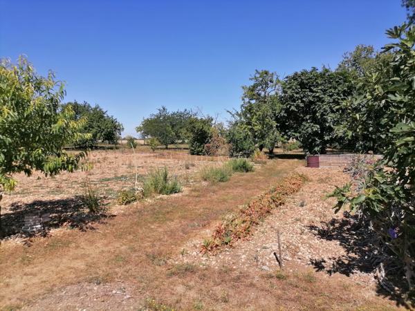 AVANTON - 15 MIN NORD-OUEST DE POITIERS - MAISON TYPE 5 Avanton (86170)