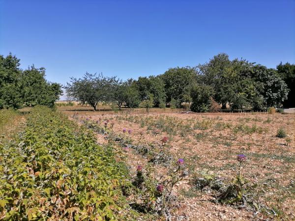 AVANTON - 15 MIN NORD-OUEST DE POITIERS - MAISON TYPE 5 Avanton (86170)