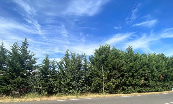 Terrain industriel et commercial 10 000 m² environ La Ville Dieu du Temple