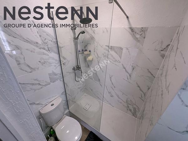 Croix Rousse Hénon T3 Lumineux Cave