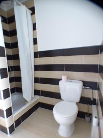 Appartement à louer à Ronchin dans le Nord (59790), ref : LJ00491-59019