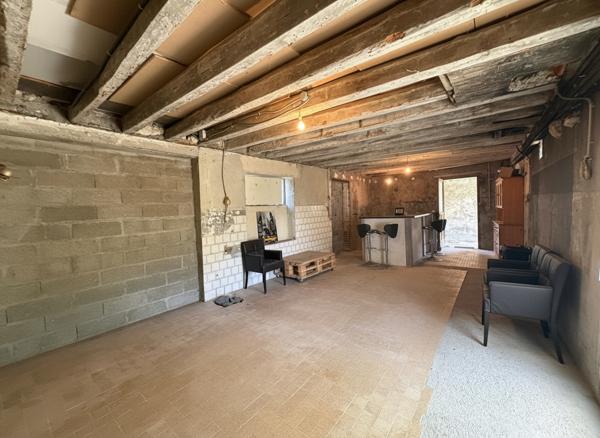 CHANÇAY - Ensemble immobilier rare : deux maisons + dépendance + terrain