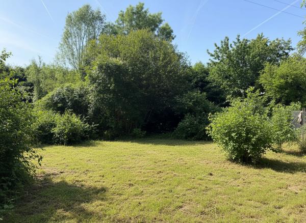 CHANÇAY - Ensemble immobilier rare : deux maisons + dépendance + terrain
