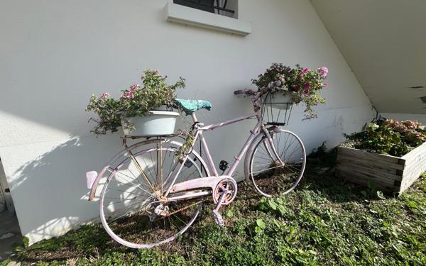 Maison à vendre    7 pièces •  Saint-Georges-de-Didonne