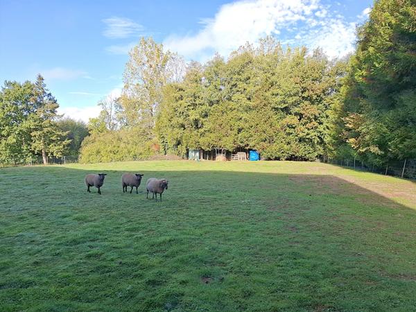 Entrepôt/local/bureau à vendre FLERS (61)