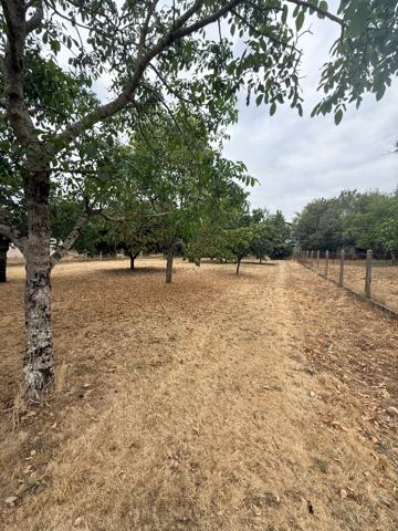 Terrain
        
        - 1080 m² 230 000 € *