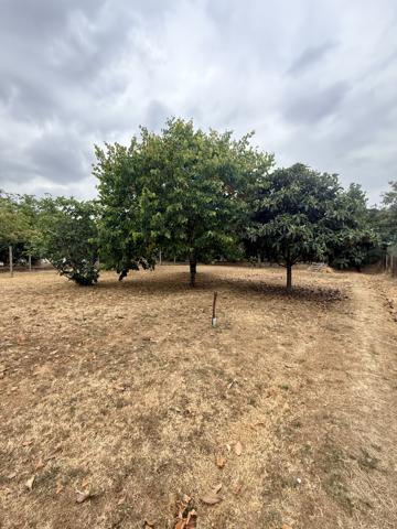 Terrain
        
        - 1080 m² 230 000 € *