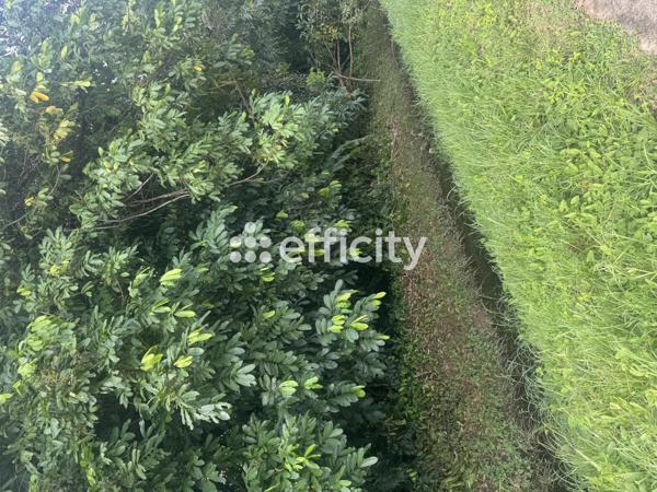 Terrain - 1934 m² Exclusivité efficity