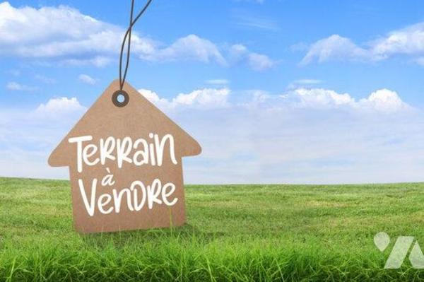 LE TAMPON TERRAIN A BATIR