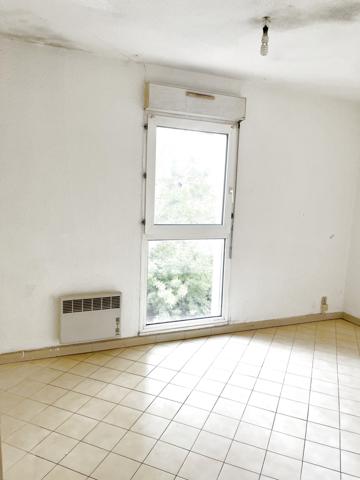 Saint-Gély-du-Fesc (34980) Au centre de Saint Gely du Fesc vaste T2 bis