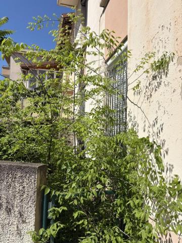 Vente / Appartement T1