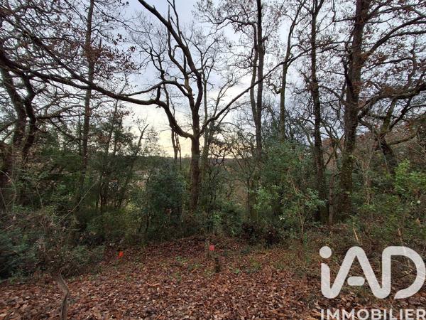 Terrain à vendre 4 603 m² Bon-Encontre