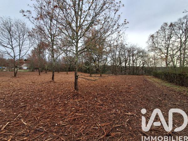 Terrain à vendre 4 603 m² Bon-Encontre