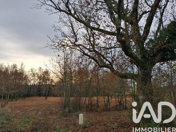 Terrain à vendre 4 603 m² Bon-Encontre