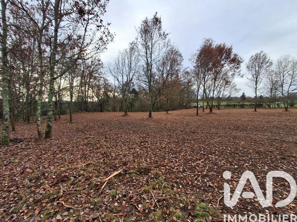 Terrain à vendre 4 603 m² Bon-Encontre