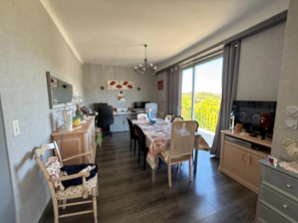 Grande villa avec vue Pyrénées