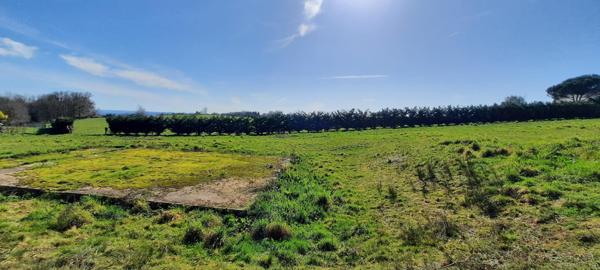 parcelle de terrain avec partie constructible