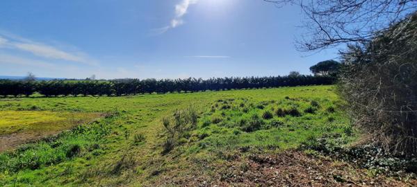 parcelle de terrain avec partie constructible